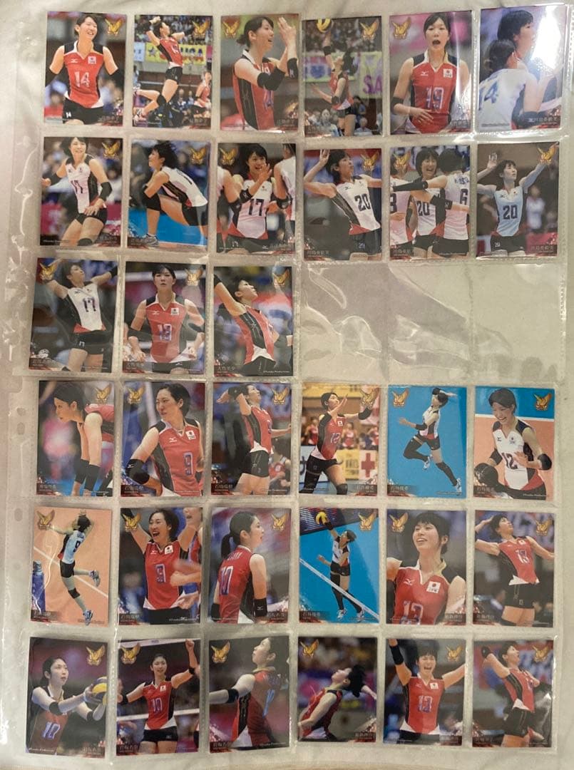 火の鳥NIPPON トレーディングカード 86枚 ＋ バインダー