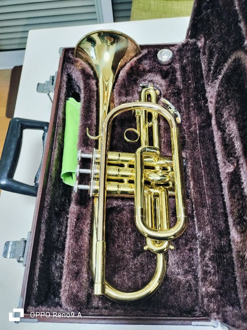 ゴールドトランペット ケース付き