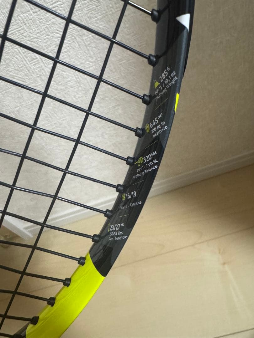 ピュアアエロチーム(2023)