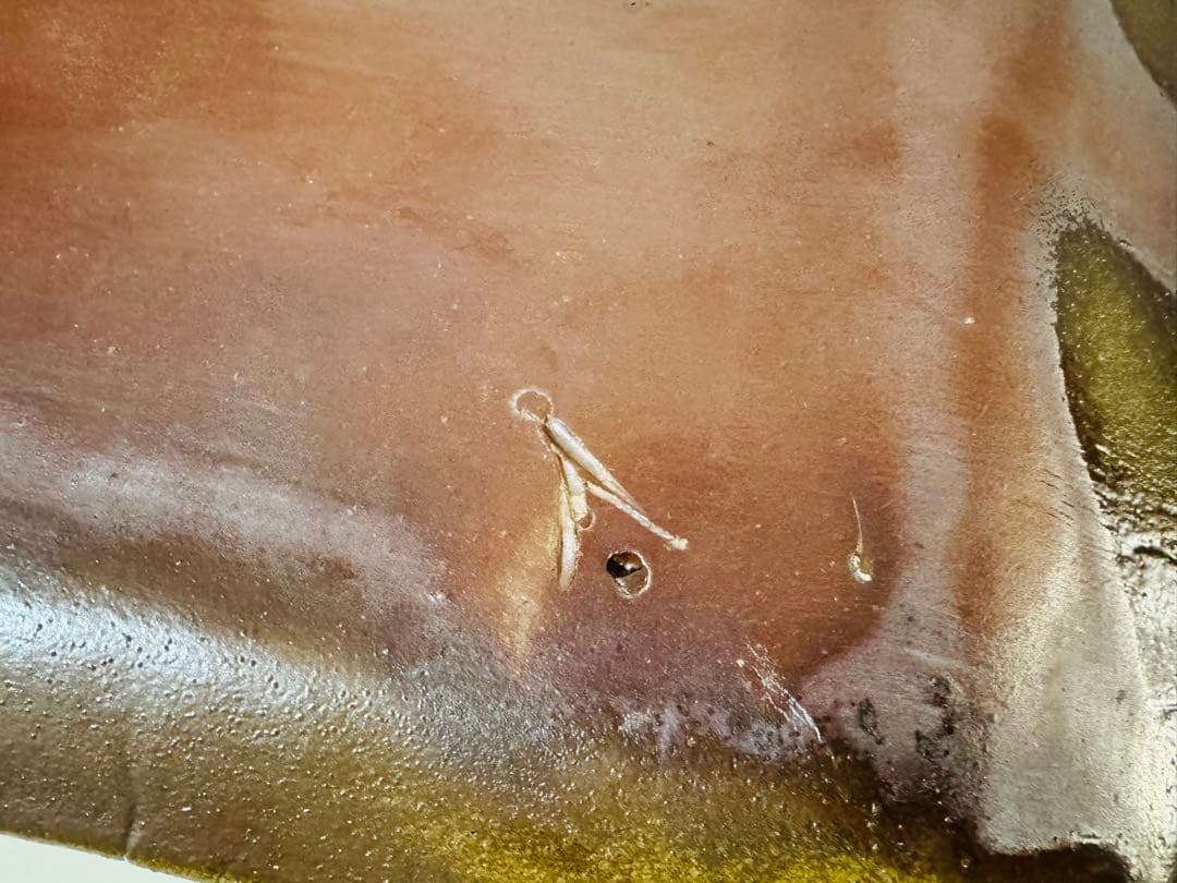 人間国宝 藤原雄 四方皿 共箱 備前