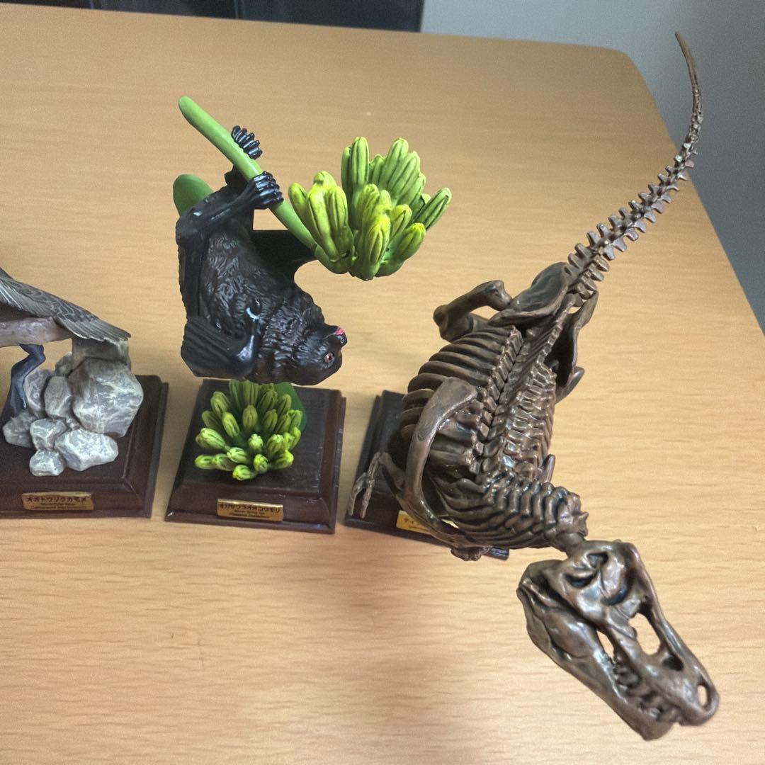 ネイチャーテクニカラー　オガサワラコウモリ　メジロ　トウゾクカモメ　ティラノ　小