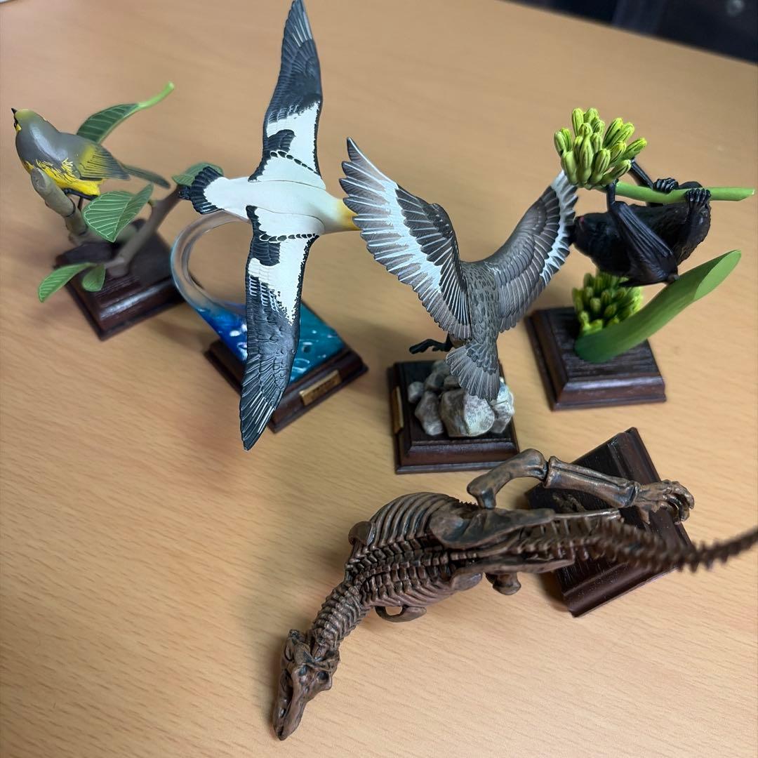 ネイチャーテクニカラー　オガサワラコウモリ　メジロ　トウゾクカモメ　ティラノ　小