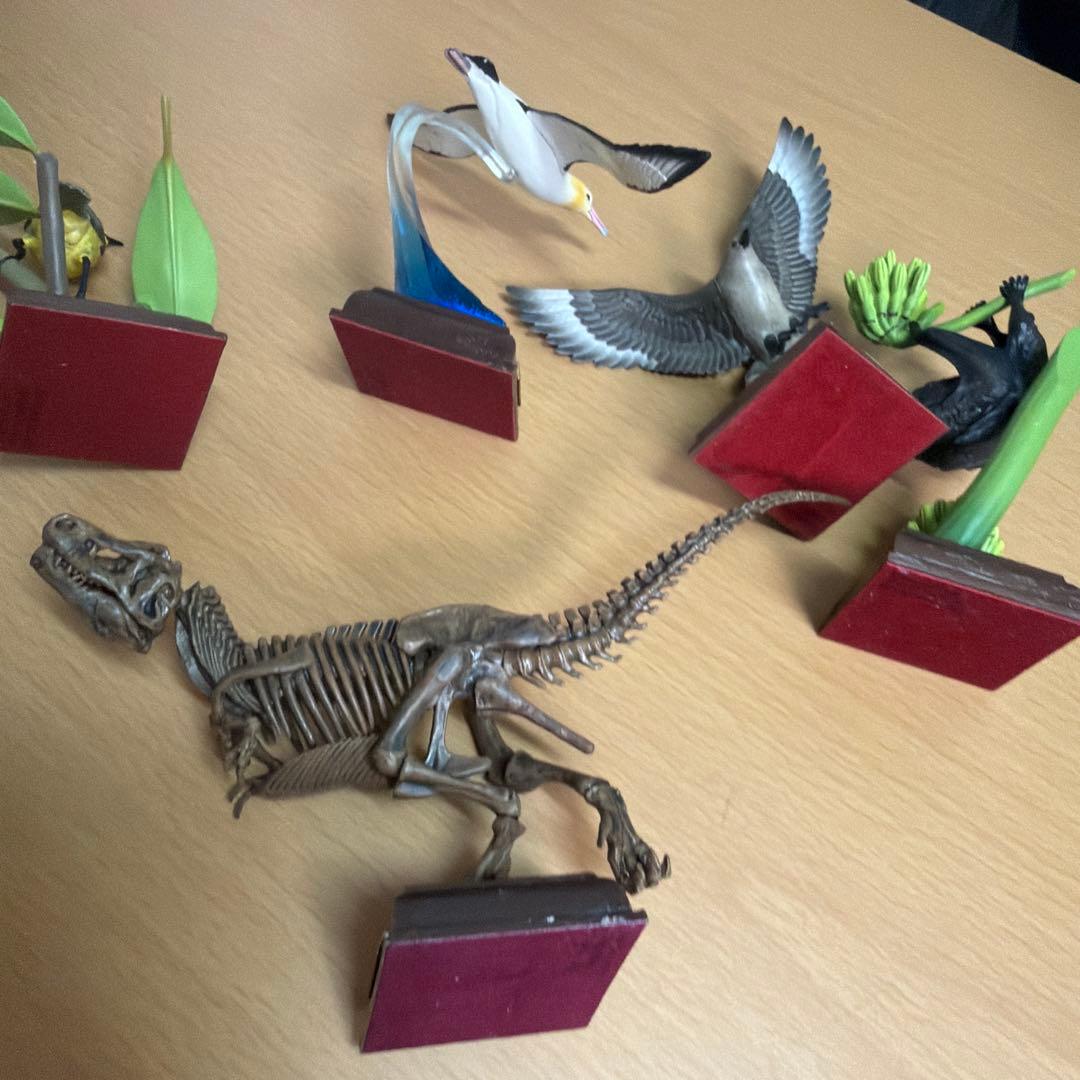 ネイチャーテクニカラー　オガサワラコウモリ　メジロ　トウゾクカモメ　ティラノ　小