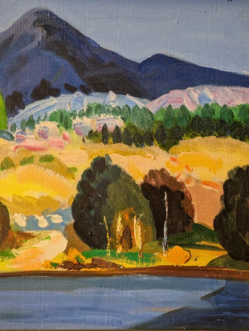 【真作】絵画　西澤栄一　油彩6号　千曲川　色彩豊かな風景　自然の息吹　U44