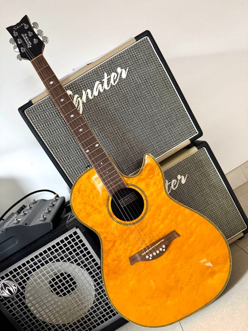 値下げしました❕希少! Schecterエレアコ（オベーションタイプボディー）