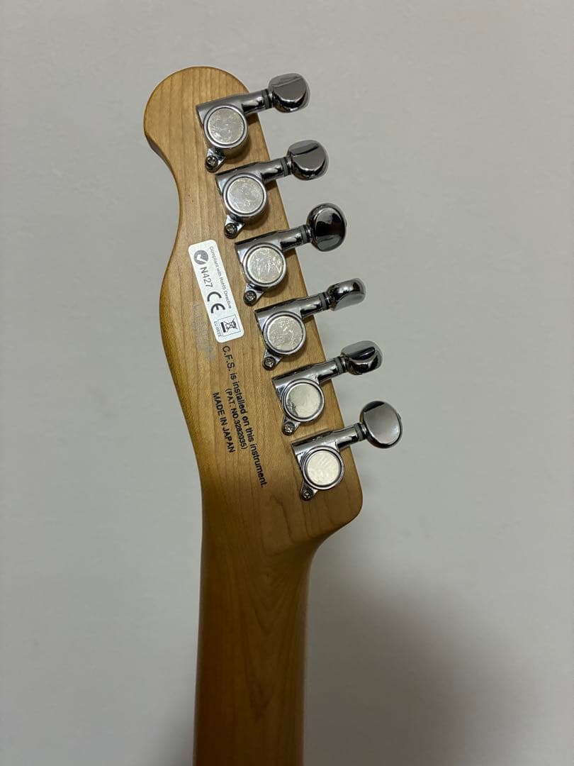 フジゲン FGN テレキャスター 美品