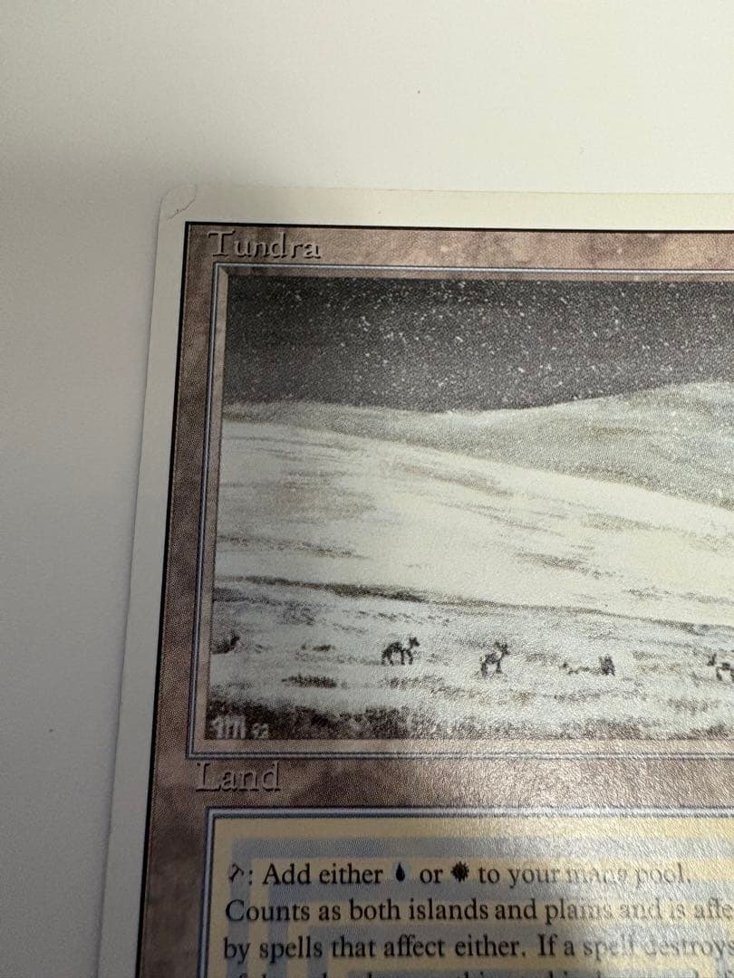マジック：ザ・ギャザリング Tundra poor