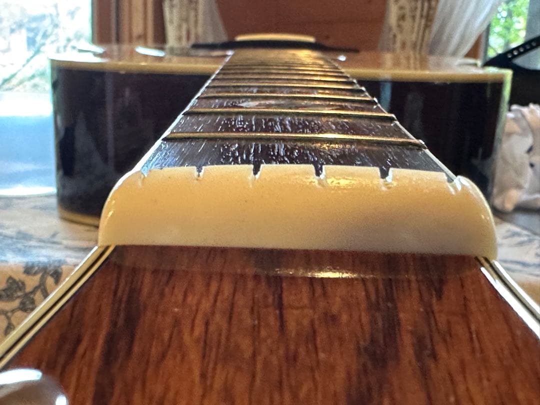 値下げ！極上品！Morris TF-801 アコースティックギター