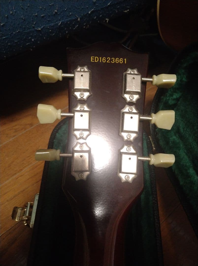 Edwards E-SA セミアコ