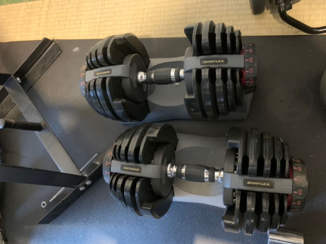 Bowflex ボウフレックス アジャスタブルダンベル　24kg 2個　レア