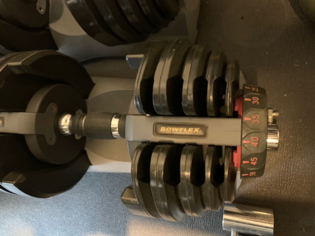 Bowflex ボウフレックス アジャスタブルダンベル　24kg 2個　レア