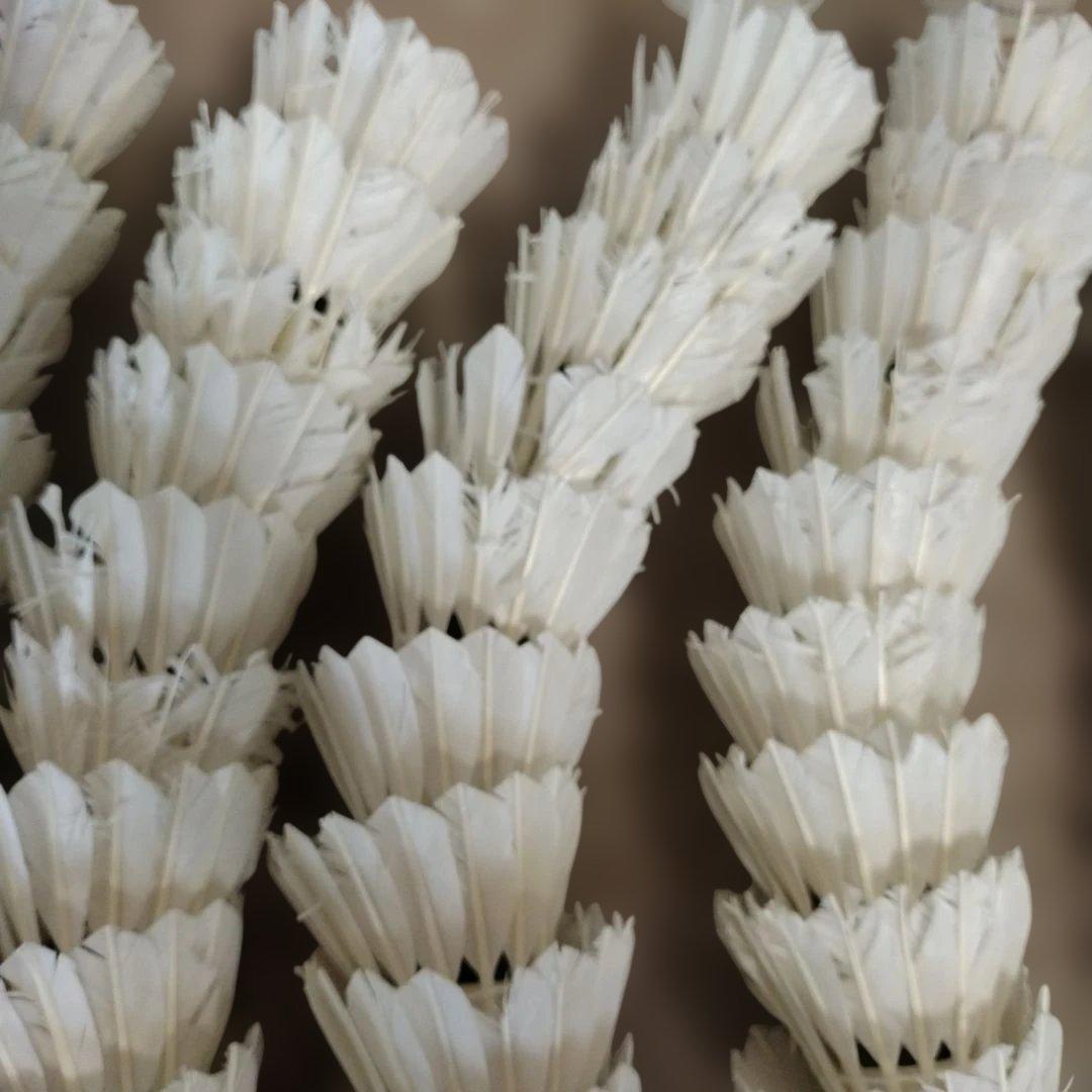 送料無料　ヨネックス中古シャトル　120球　エアロセンサー500　３番　4番