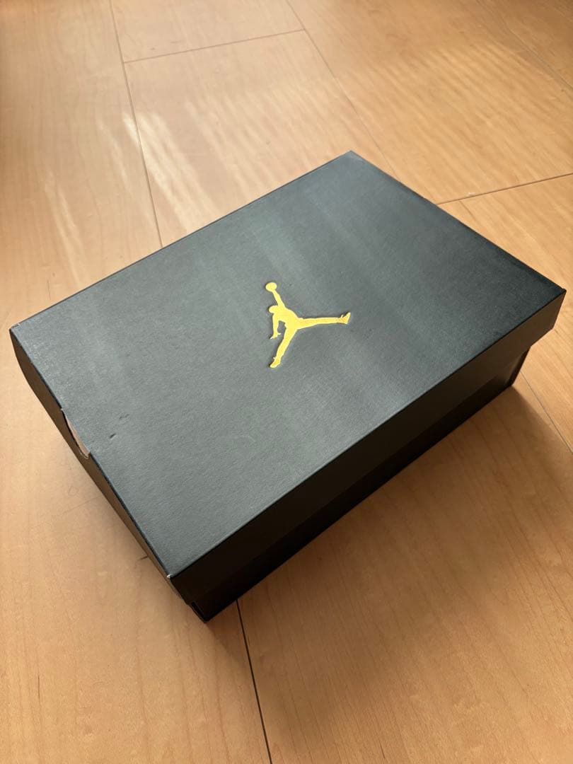 シューズ(男性用) NIKE AIR JORDAN 12 GOLF