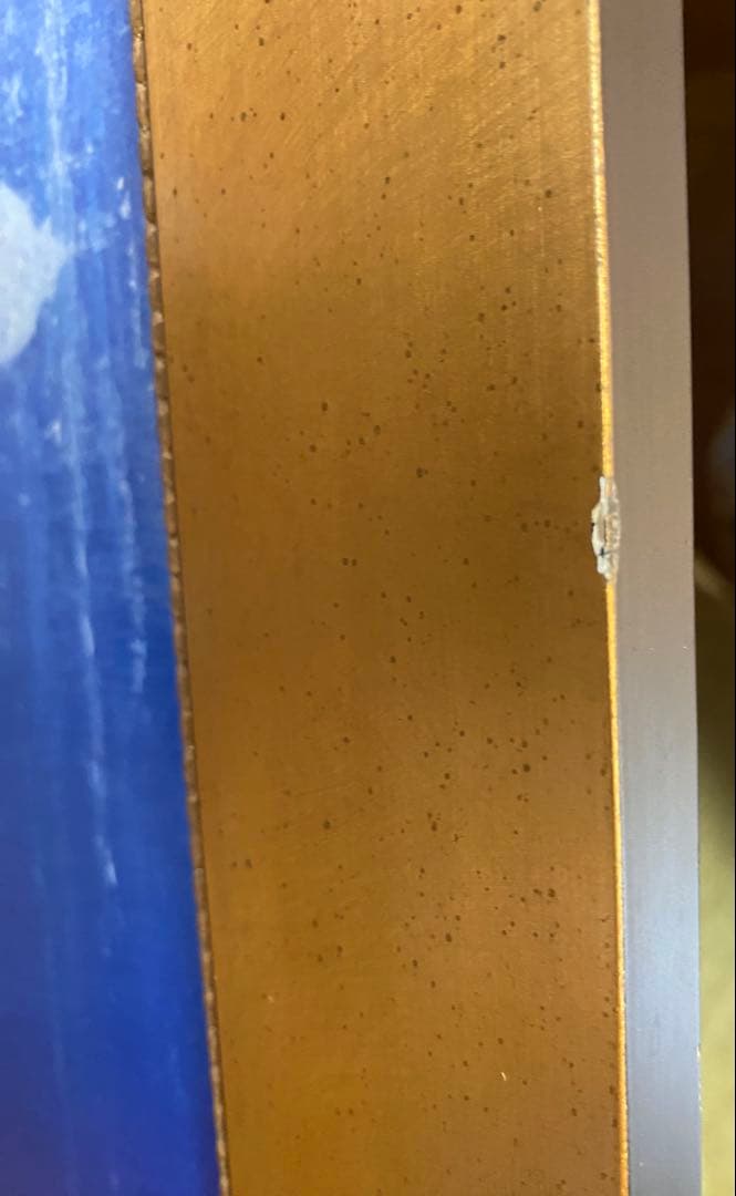 アリエル　マーメイドラグーン