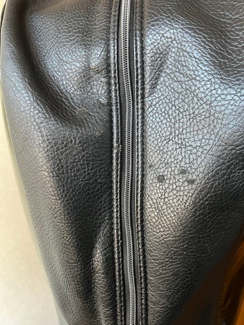 ラウドマウスシャガデリックシルバー刺繍柄ゴルフバッグ