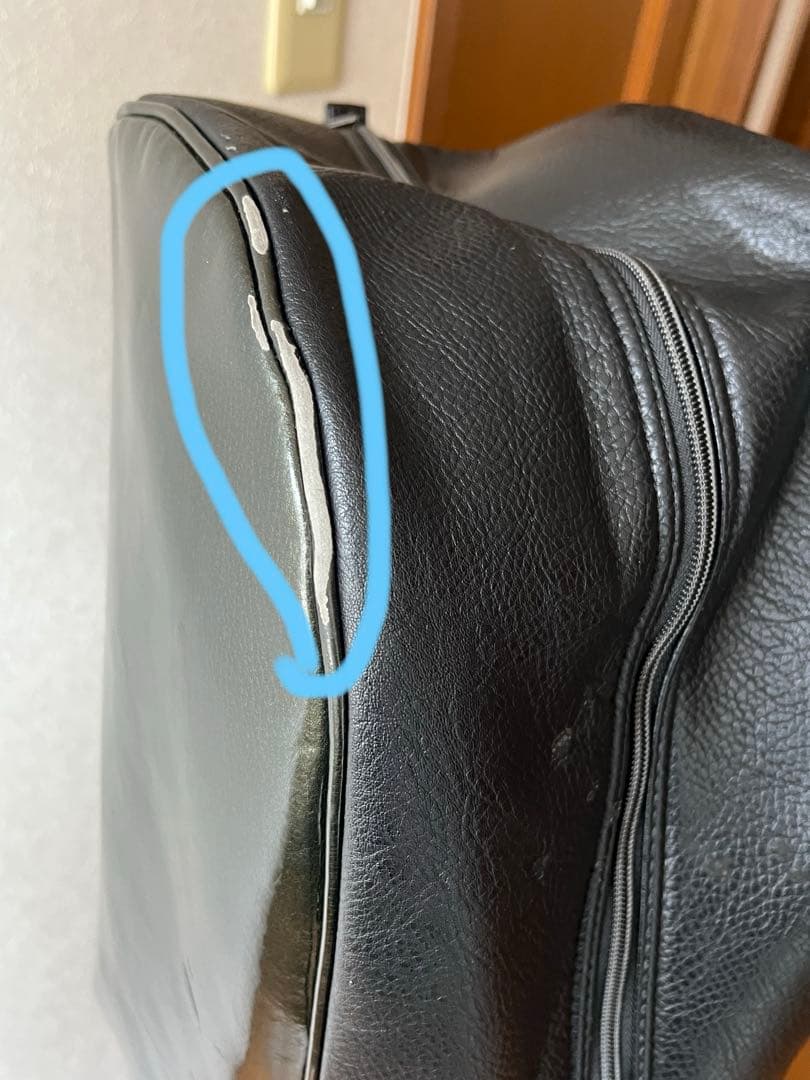 ラウドマウスシャガデリックシルバー刺繍柄ゴルフバッグ