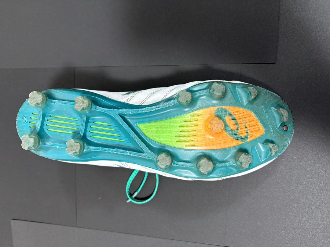 【値下げ】DS LIGHT X-FLY PRO 3 ゼログライドシューレース付