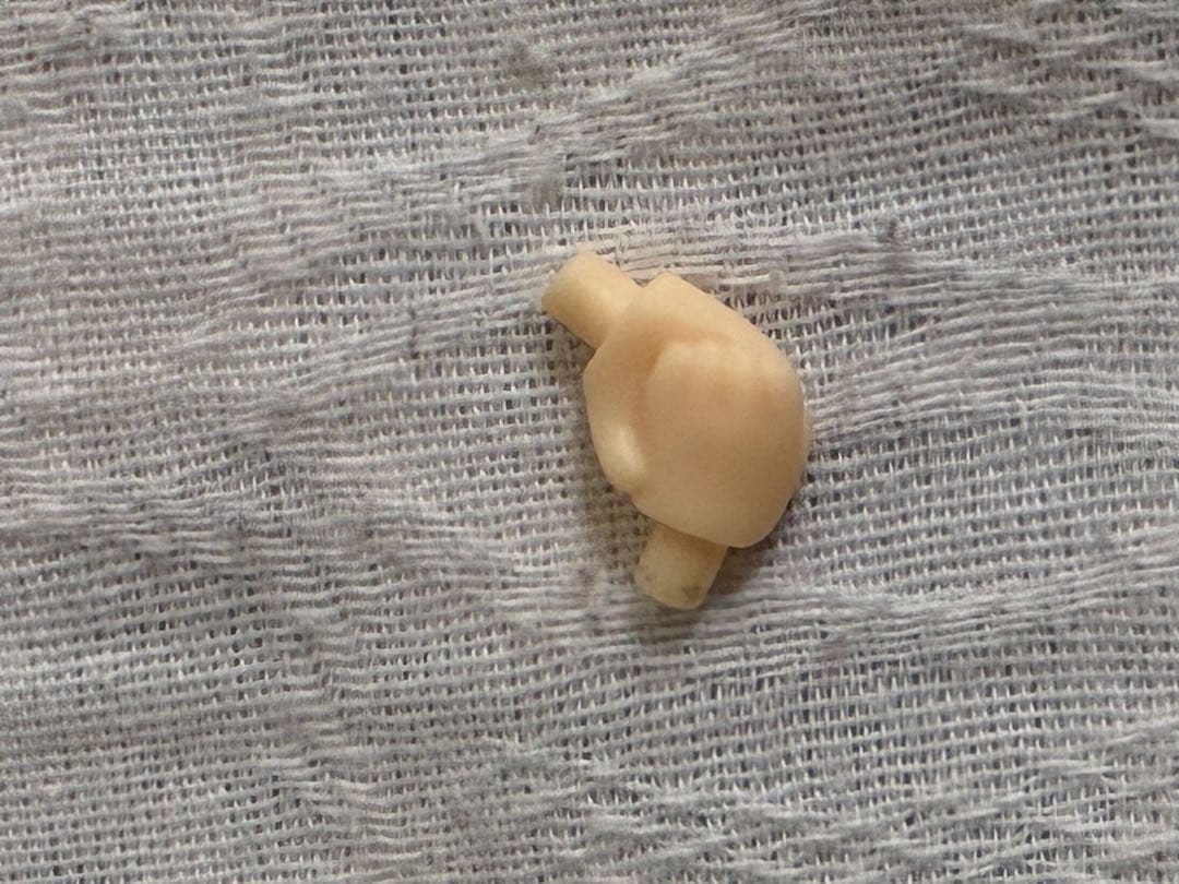 [開封使用](オマケ付き) ねんどろいど　ドクター&フロストノヴァ