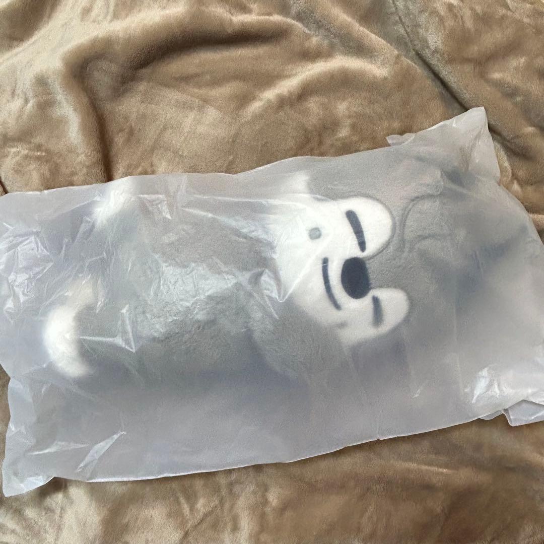 straykids celebrATE プラッシュバッグ バンチャン