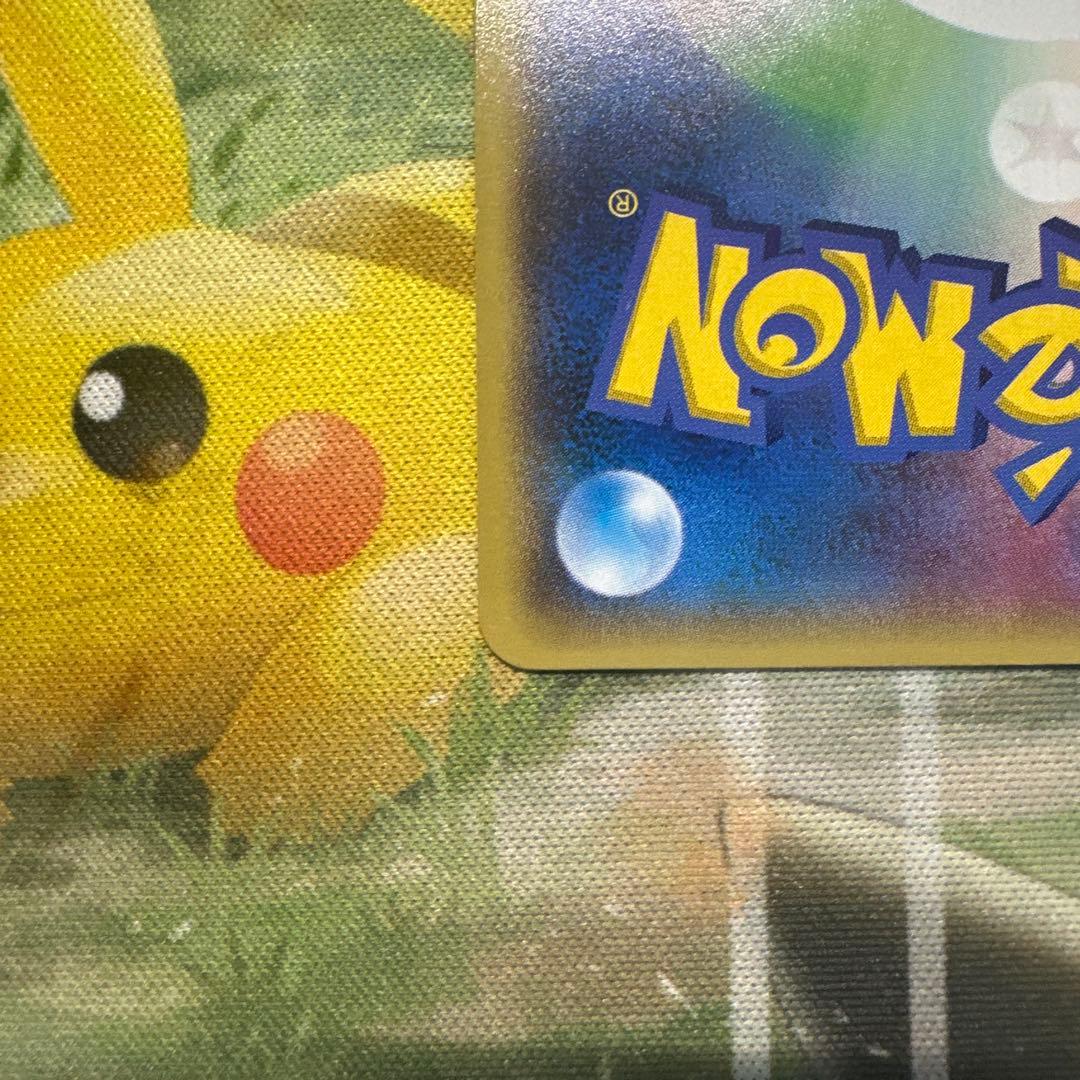 ダイゴ プロモーションカード XY