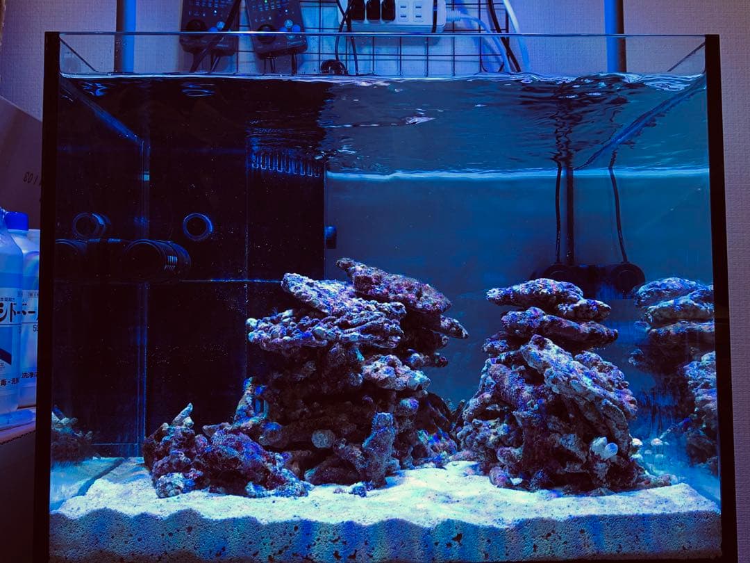 45cmオーバーフロー水槽