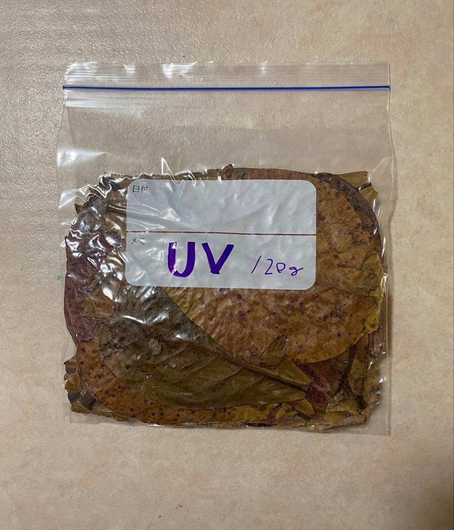 沖縄県やんばる産マジックリーフ 1kg UV殺菌灯照射済み③