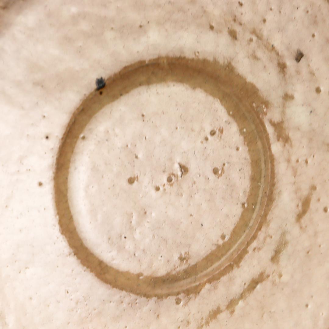 御本手 輪花 鉢 21cm