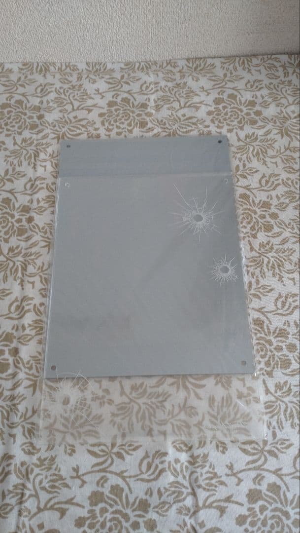 【バラ可】デビルメイクライ アクリルアート＋ジャケット