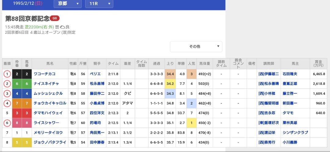 1995年 第88回 京都記念 ライスシャワー、1着馬ワコーチカコ他単勝馬券
