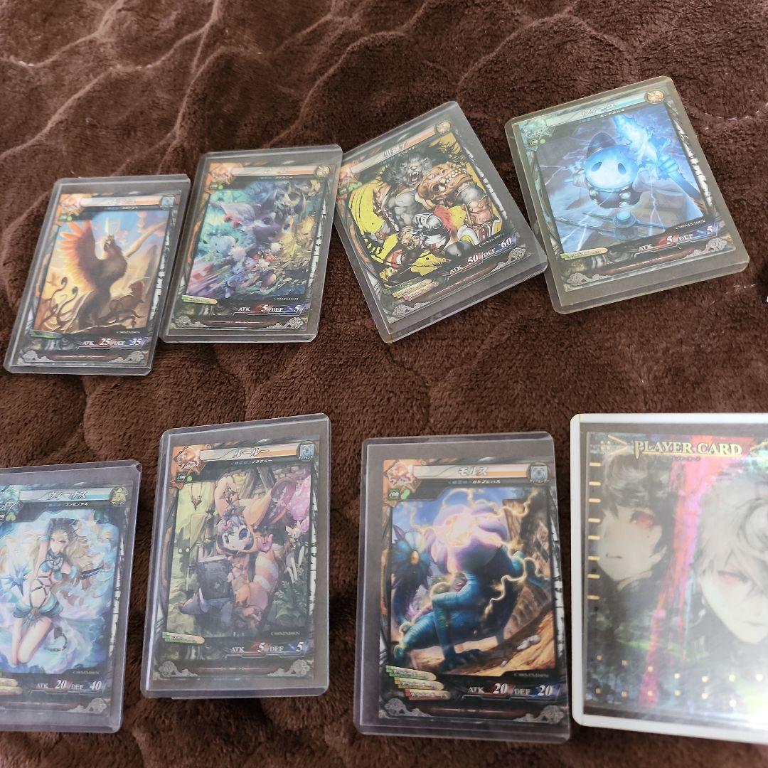 トレーディングカードセット 10枚 プレイヤーカード付き