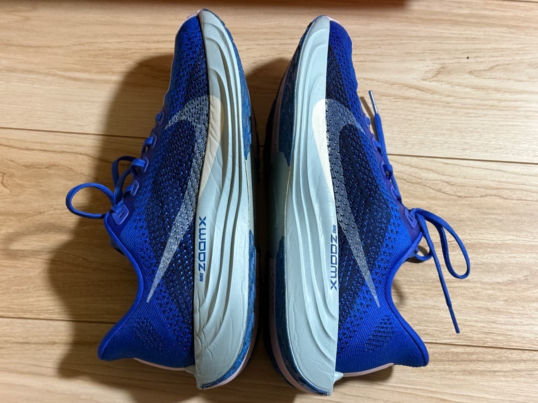 ナイキ　ペガサス　プラス　25.5cm