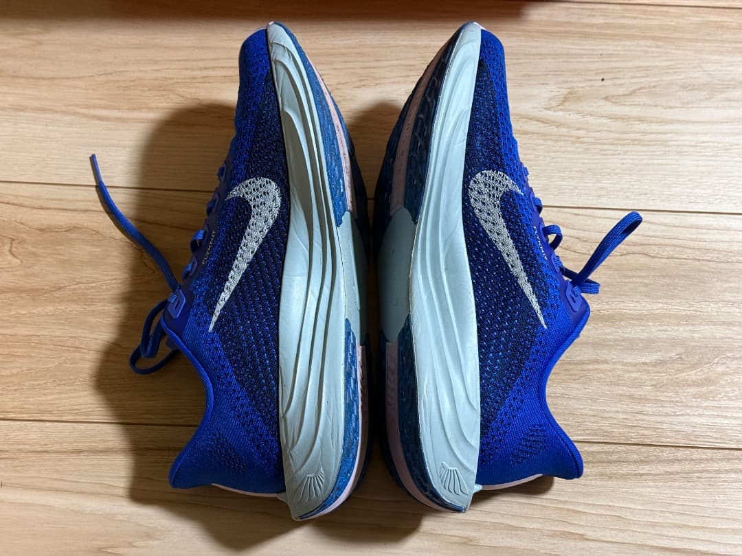 ナイキ　ペガサス　プラス　25.5cm