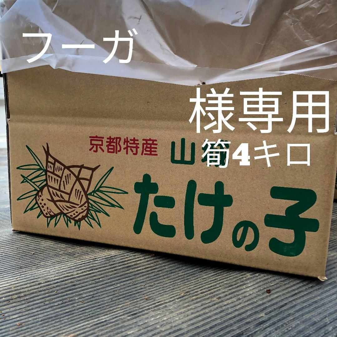 フーガ　筍4キロ