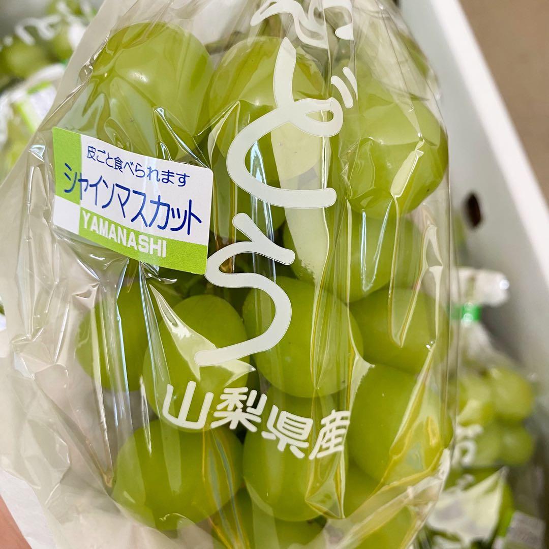 山梨県産　訳あり　家庭用　シャインマスカット　10房　箱込み4.5kg ⑱