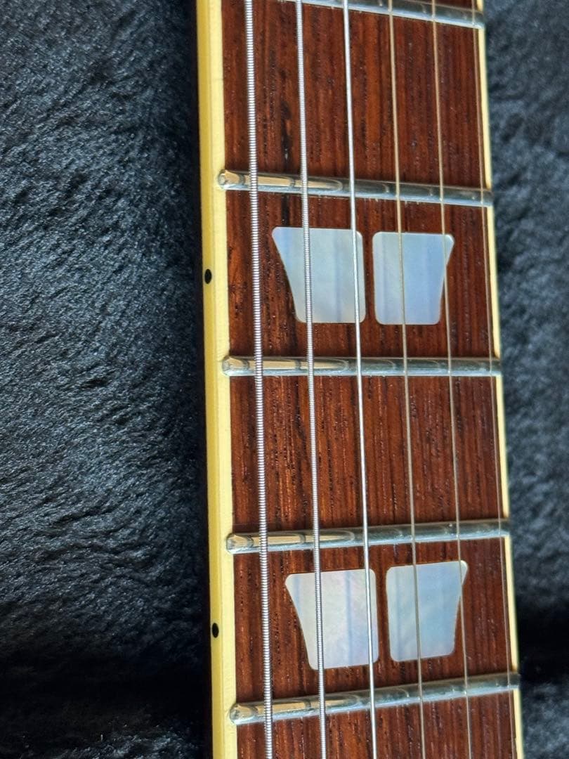 FUJIGEN bat フジゲン タイムレスティンバー レスポール