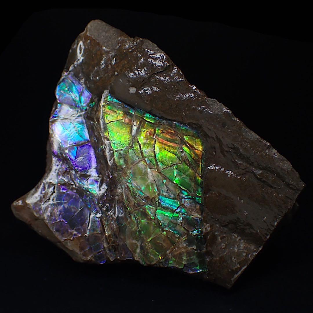 【カナダ/a産】アンモライト(プラセンチセラス)