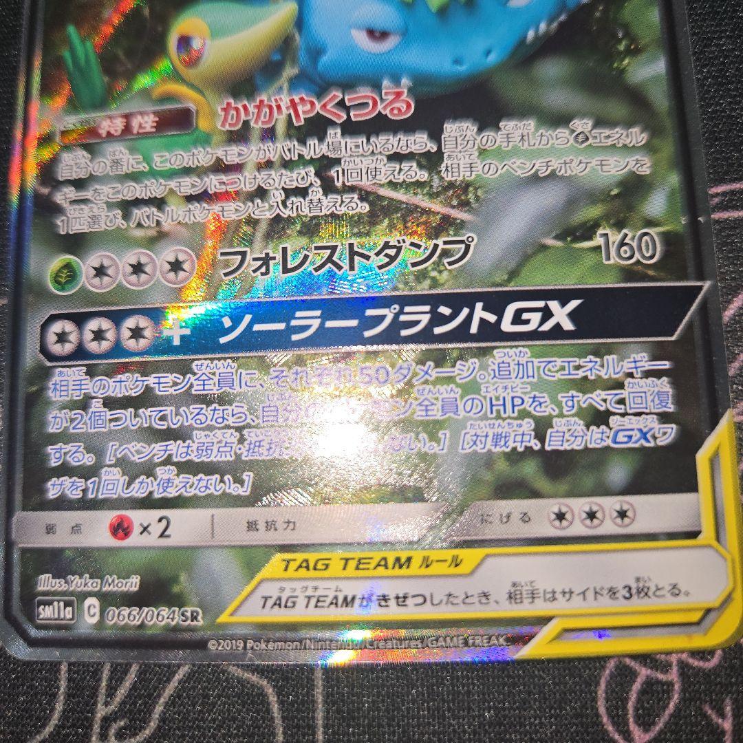 フシギバナ&ツタージャGX SR 066/064