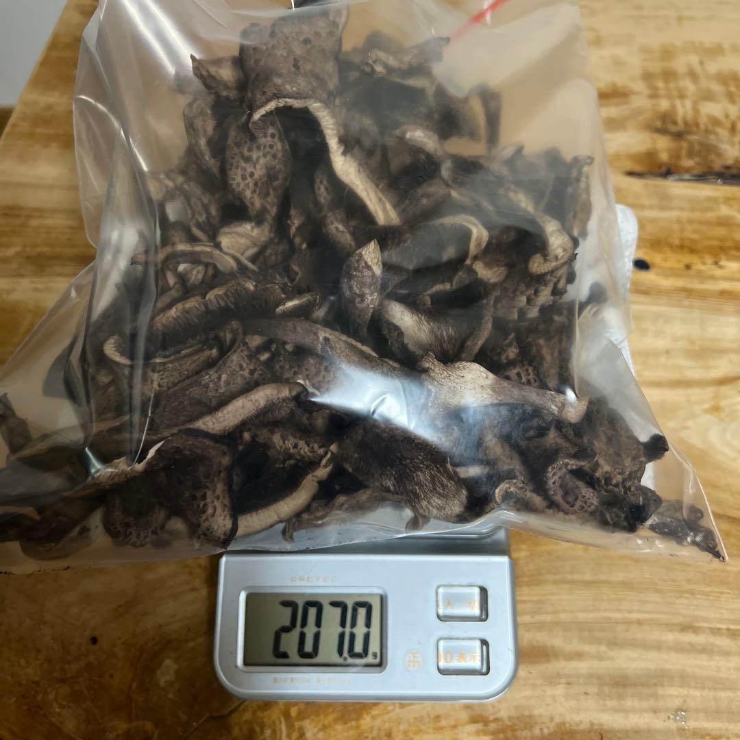 香茸　乾燥品　600g以上