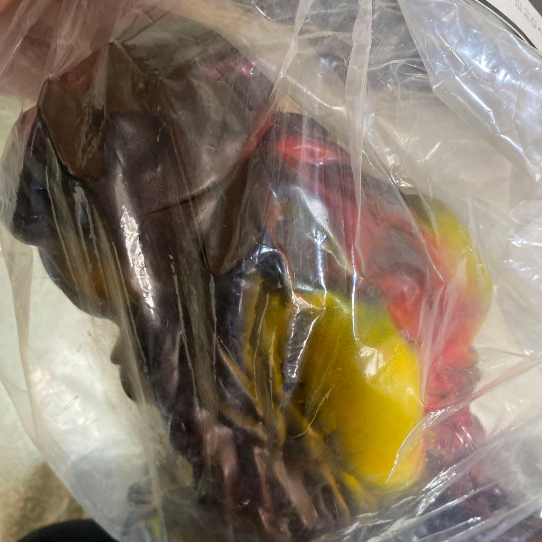 CCP  メルマガ限定　G ヘドラ