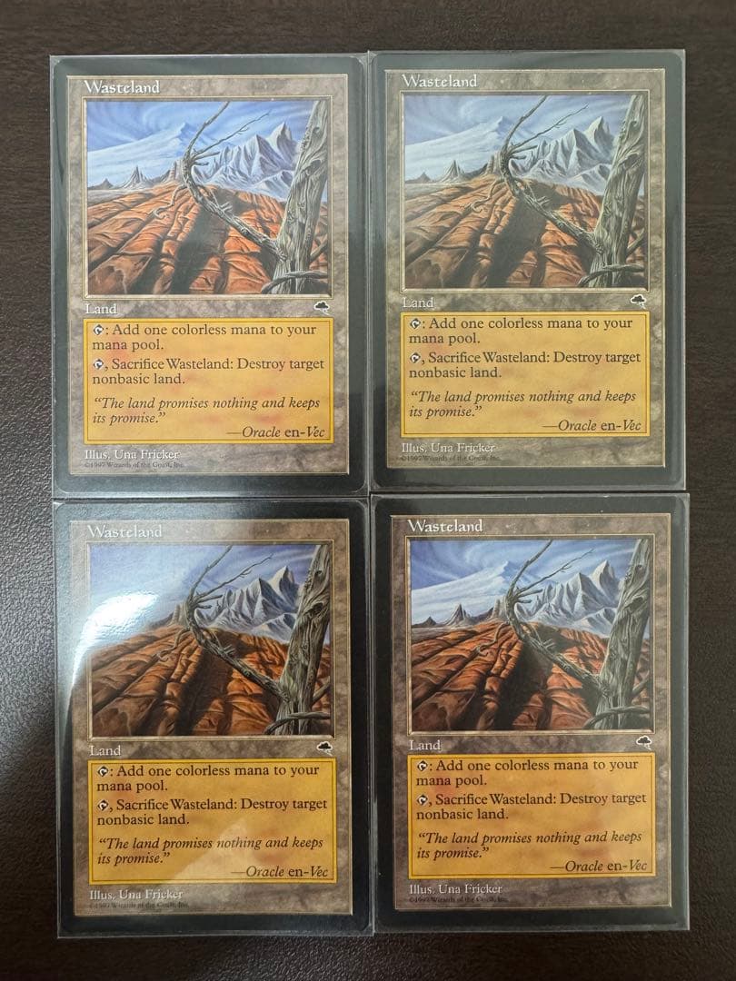 EN 不毛の大地/Wasteland 4枚セット