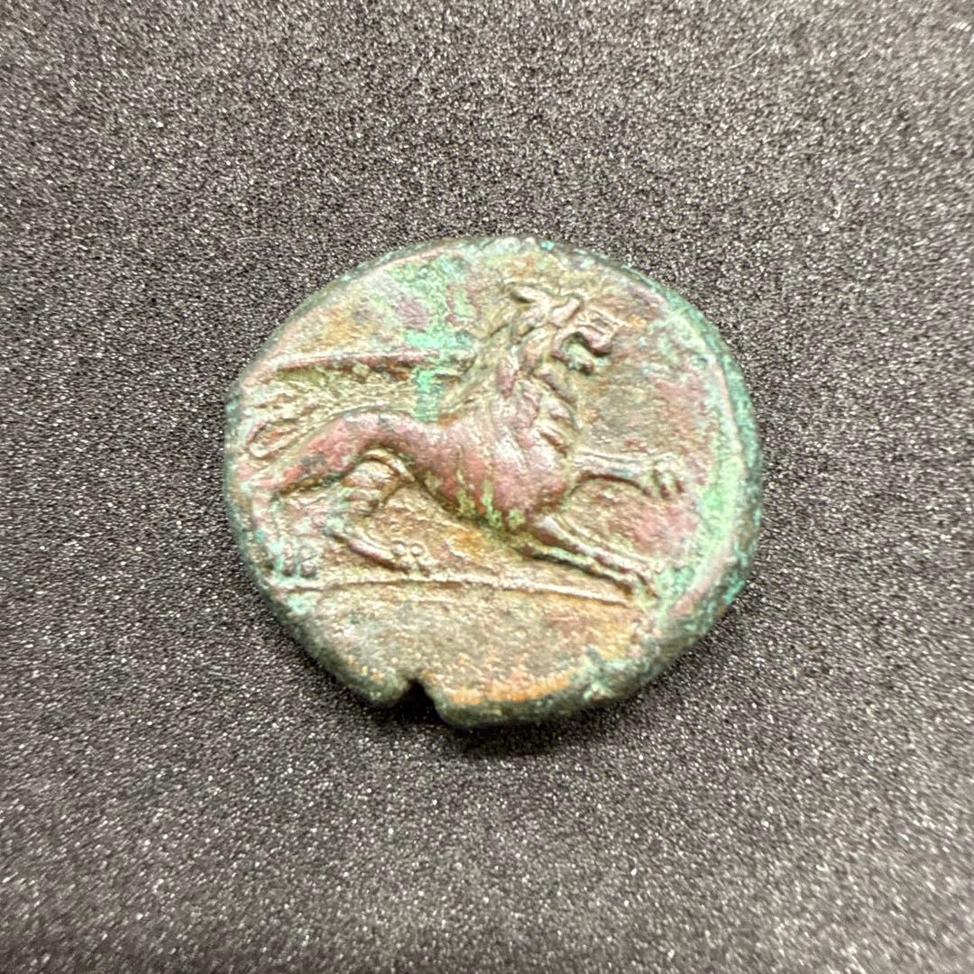 【希少】 シラクーサ アガトクレス 青銅 AEリトラ　古代