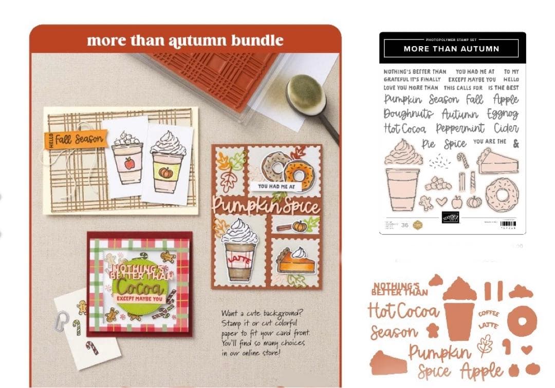 １点限り♡新作　秋スタンプ&ダイ　スタンピンアップ