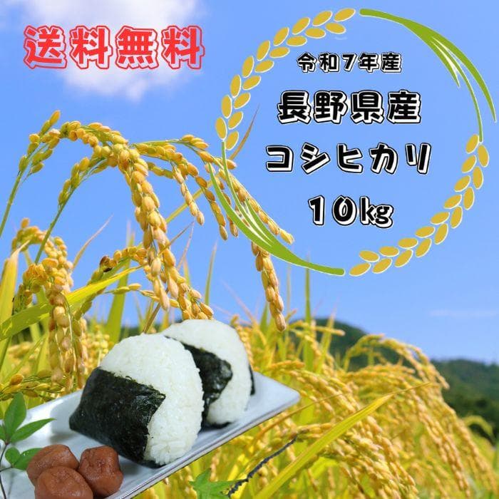 令和7年産 長野県産 コシヒカリ白米10キロ　精米したてをお届け‼
