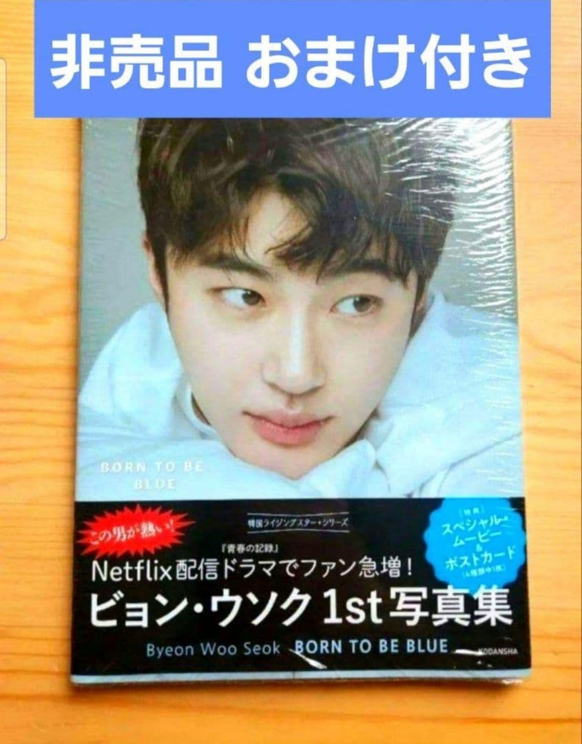 ビョンウソク 변우석 ファースト オフィシャル 写真集 1冊 レア