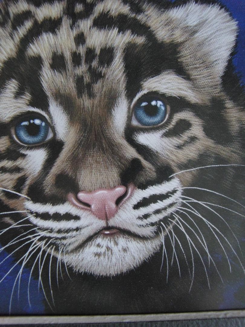 シム・シメール、【THE LITTLE CLOUDED LEOPARD】