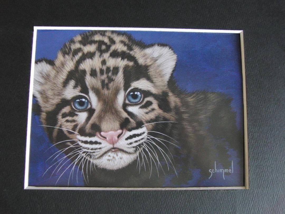 シム・シメール、【THE LITTLE CLOUDED LEOPARD】