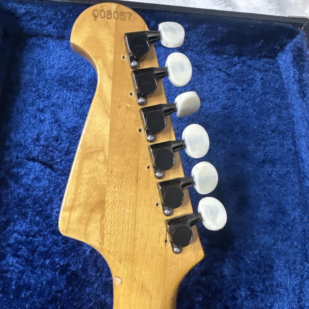 80's アリアプロ2 TS500 レアカラー