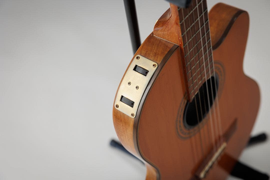 ギター Gibson Chet Atkins CE