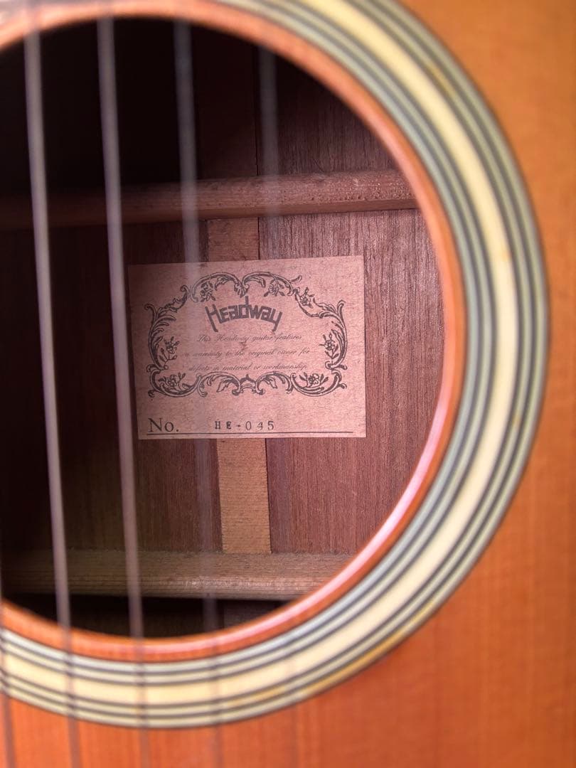 Headway エレアコ　ハードケース付き