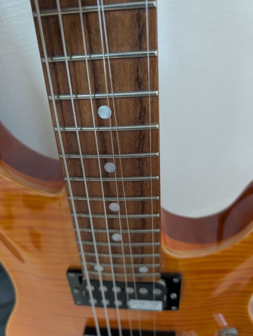 【美品・動作良好】SCHECTER RJ-1-24-TOM AMB　シェクター